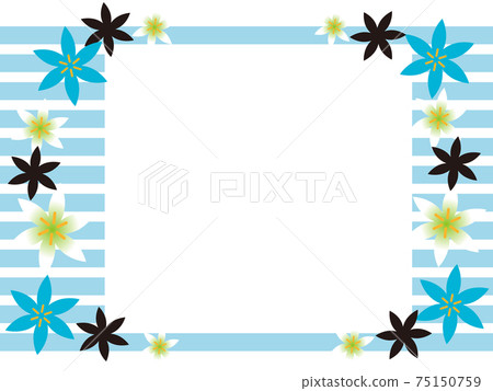 Zephyrlily blue white background Zephyrlily blue white background 75150759