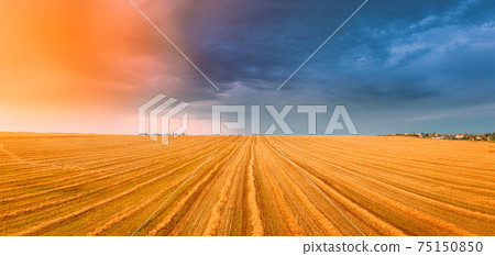 Aerial View Of Sunset Sunrise Bright Sky Above Summer Hay Field Landscape In Evening Sunset. Cut Dry Grass Turned Into Straw Has Not Yet Been Removed From Field. Panorama Aerial View Of Sunset Sunrise Bright Sky Above Summer Hay Field Landscape In Evening Sunset. Cut Dry Grass Turned Into Straw Has Not Yet Been Removed From Field. Panorama 75150850