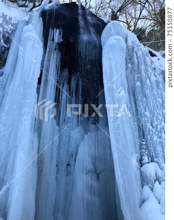 冬季瀑布山北澤瀑布瀑布 75150877