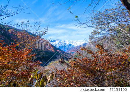 谷川溫泉,谷川山,田井真奈 谷川溫泉,谷川山,田井真奈 75151100
