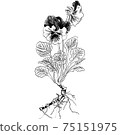 植物插圖-紫羅蘭 75151975
