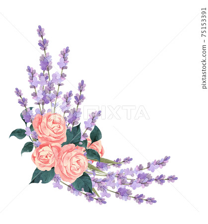 玫瑰和熏衣草的香味 75153391