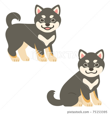 Shiba Inu puppy (Kuroshiba) 75153395