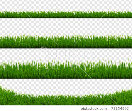 Green Grass Border Isolated Transparent Background 75154992