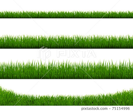 Green Grass Border Isolated White Background 75154996