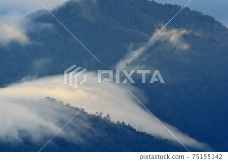 山上風景-新竹林道,台灣 山上風景-新竹林道,台灣 75155142