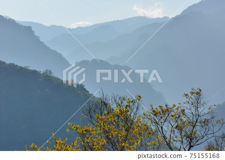Mountain Scenery-Hsinchu Forest Road, Taiwan Mountain Scenery-Hsinchu Forest Road, Taiwan 75155168