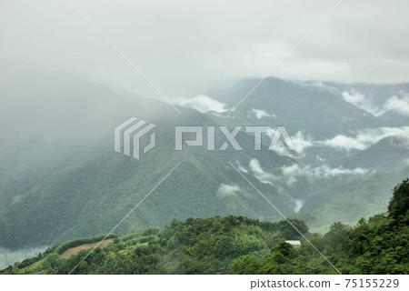 山上風景-新竹林道,台灣 山上風景-新竹林道,台灣 75155229