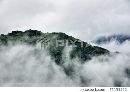 山上風景-新竹林道,台灣 山上風景-新竹林道,台灣 75155232