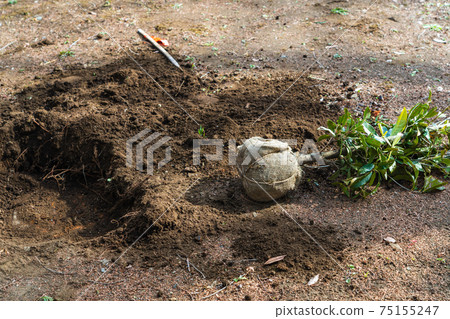 Spring park for transplanting plants 75155247