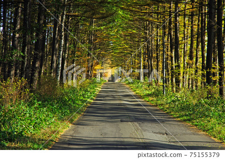 阿索羅國道巨kai路 75155379