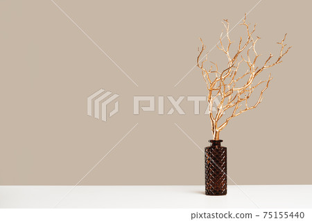 Golden tree branches in a glass vase. Monochrome subtle beige colors 75155440