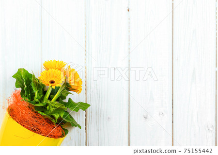 Yellow flower pot on white wooden terrace in the garden. Spring 75155442