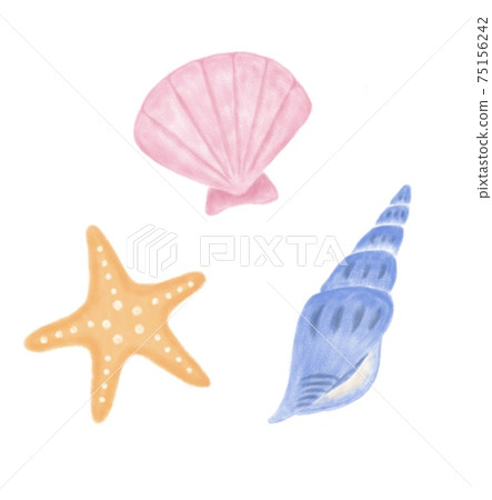 Hand drawn illustration of seashell 75156242
