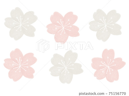 Cherry background Cherry background 75156770