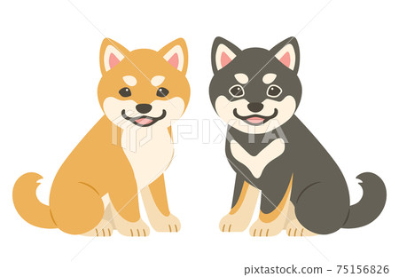 柴犬幼犬(明芝和黑芝)的插圖 柴犬幼犬(明芝和黑芝)的插圖 75156826