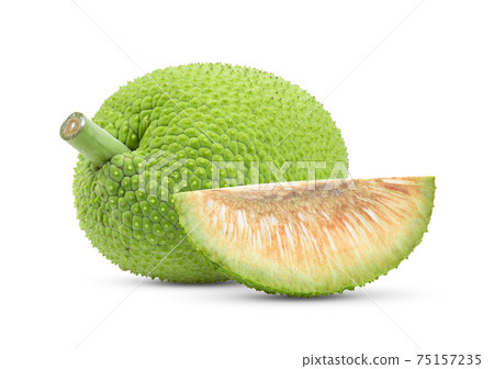 breadfruit on white background breadfruit on white background 75157235