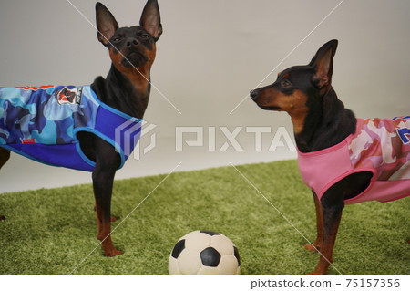 迷你平歇兄弟姐妹足球服裝日本國家隊照片15 75157356