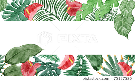 Tropical plant tropical frame decoration 75157520