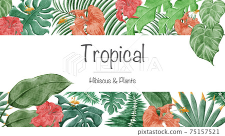 Tropical hibiscus frame decoration 75157521