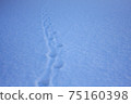 貓腳印在雪的 75160398
