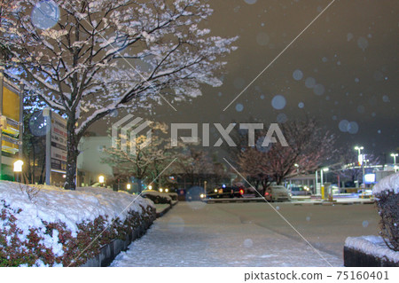 Night view on a snowy day 75160401