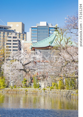 Shinobazu Pond and Nintendo Shinobazu Pond and Nintendo 75161294
