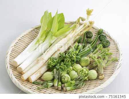 用漏勺盛放野生植物 75161345