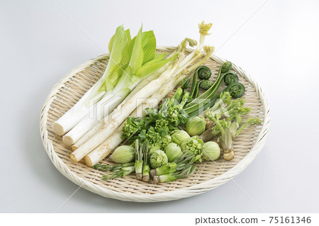 Wild plants served in a colander 75161346