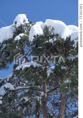 Seorak Mountain, Inje County, Gangwon Province Seorak Mountain, Inje County, Gangwon Province 75162363