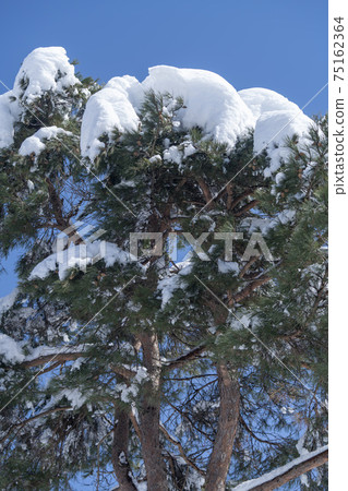 Seorak Mountain, Inje County, Gangwon Province Seorak Mountain, Inje County, Gangwon Province 75162364