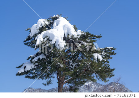 江原道仁濟縣雪嶽山 75162371