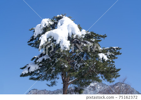 Seorak Mountain, Inje County, Gangwon Province Seorak Mountain, Inje County, Gangwon Province 75162372