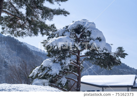 Seorak Mountain, Inje County, Gangwon Province Seorak Mountain, Inje County, Gangwon Province 75162373