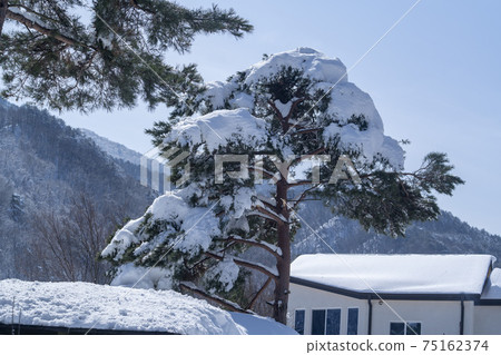 江原道仁濟縣雪嶽山 江原道仁濟縣雪嶽山 75162374