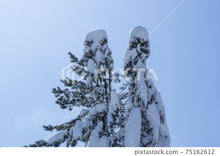 江原道仁濟縣雪嶽山 75162612