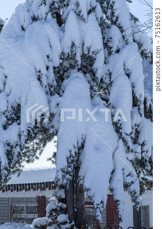 江原道仁濟縣雪嶽山 江原道仁濟縣雪嶽山 75162613