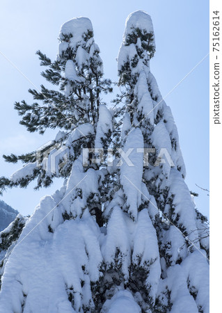 Seorak Mountain, Inje County, Gangwon Province Seorak Mountain, Inje County, Gangwon Province 75162614