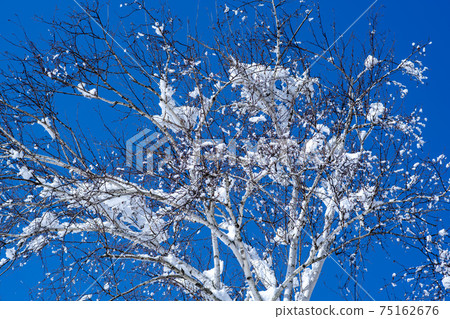 江原道仁濟縣雪嶽山 江原道仁濟縣雪嶽山 75162676