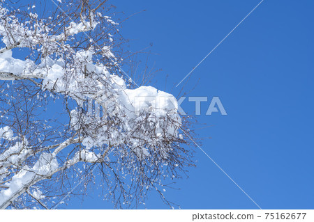Seorak Mountain, Inje County, Gangwon Province Seorak Mountain, Inje County, Gangwon Province 75162677