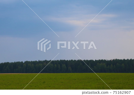 Nice view of the forest in the countryside. Nice view of the forest in the countryside. 75162907