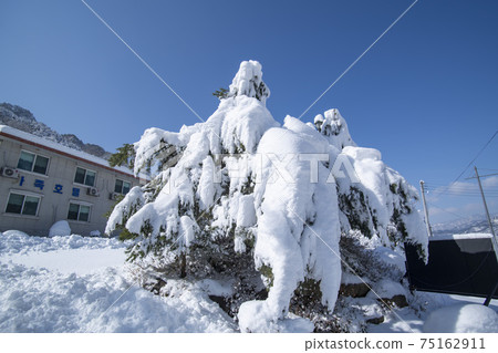 Seorak Mountain, Inje County, Gangwon Province Seorak Mountain, Inje County, Gangwon Province 75162911