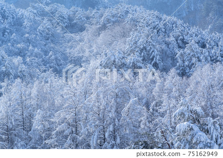 江原道仁濟縣雪嶽山 江原道仁濟縣雪嶽山 75162949