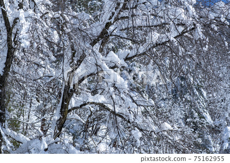 Seorak Mountain, Inje County, Gangwon Province Seorak Mountain, Inje County, Gangwon Province 75162955
