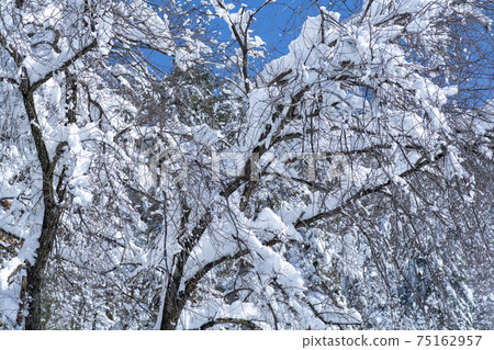 Seorak Mountain, Inje County, Gangwon Province Seorak Mountain, Inje County, Gangwon Province 75162957