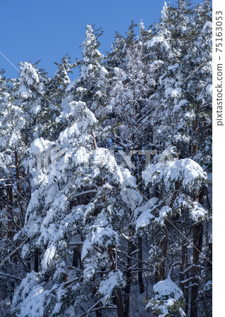 Seorak Mountain, Inje County, Gangwon Province Seorak Mountain, Inje County, Gangwon Province 75163053