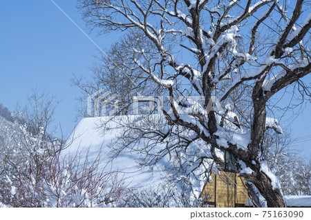 Seorak Mountain, Inje County, Gangwon Province 75163090