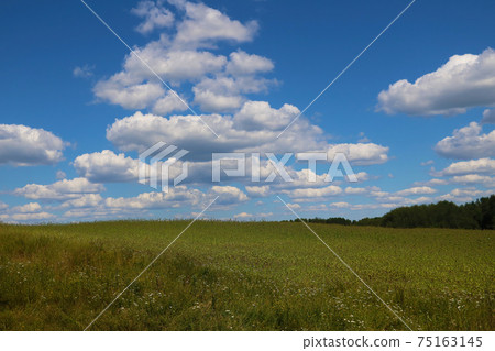 Beautiful spring landscape on a sunny day. Beautiful spring landscape on a sunny day. 75163145