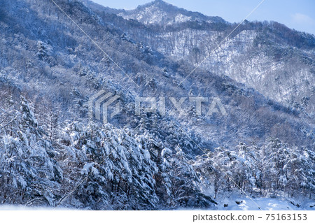 江原道仁濟縣雪嶽山 江原道仁濟縣雪嶽山 75163153