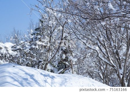 Seorak Mountain, Inje County, Gangwon Province Seorak Mountain, Inje County, Gangwon Province 75163166